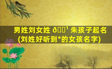 男姓刘女姓 🌹 朱孩子起名(刘姓好听到*
的女孩名字)